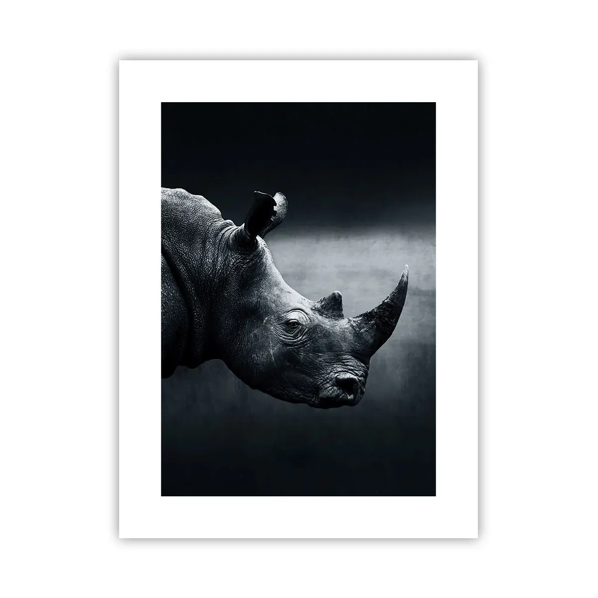 Plakat - Prawy profil - 30x40 cm