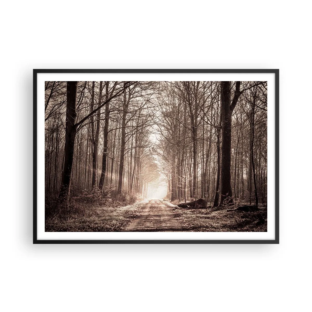 Plakat w czarnej ramie - Leśna ścieżka wśród drzew w odcieniach sepii - 100x70cm - Leśna katedra - Nowoczesna dekoracja ścienna do salonu i sypialni ARTTOR