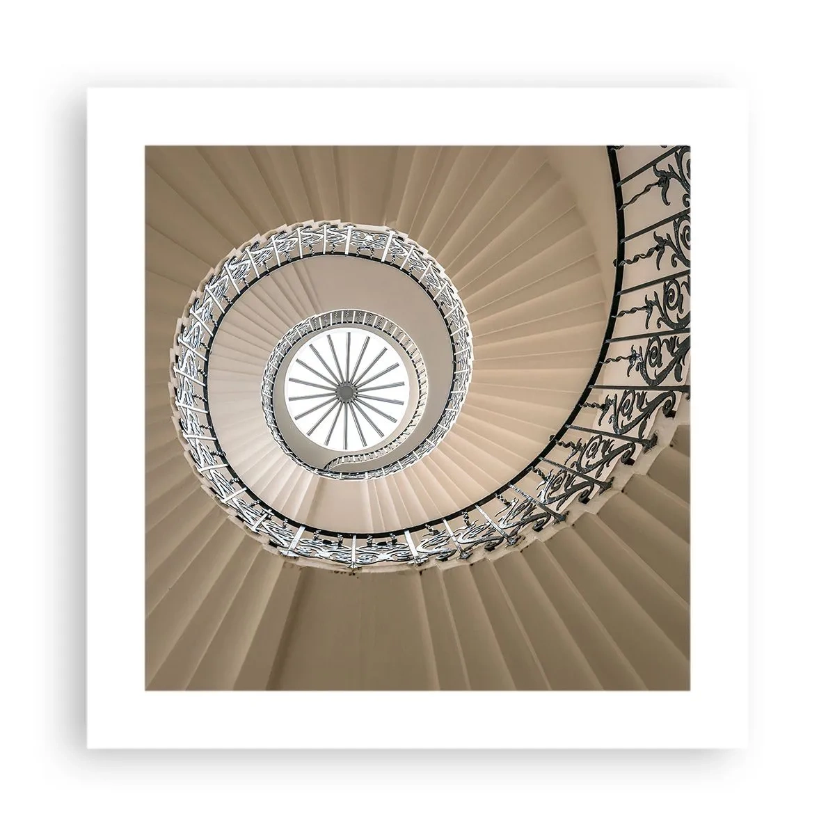 Plakat - W środku muszli - 40x40 cm