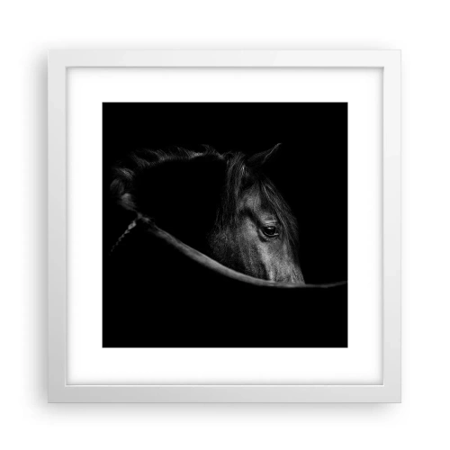 Plakat w białej ramie - Czarny książę - 30x30 cm