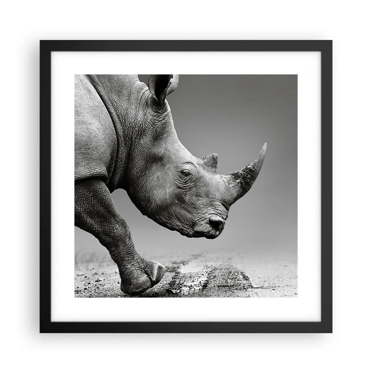 Plakat w czarnej ramie - Niepowstrzymana siła - 40x40 cm