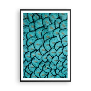 Plakat w czarnej ramie - Wielka gala piór - 70x100 cm