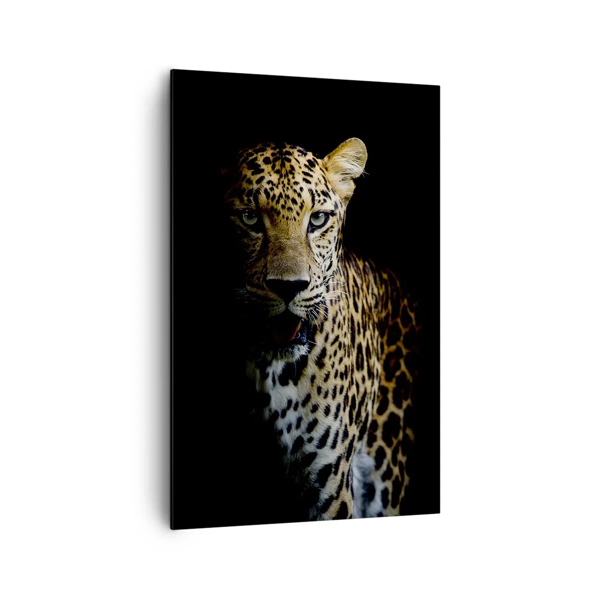 Obraz na płótnie - Leopard na ciemnym tle z intensywnym spojrzeniem - 80x120cm - Mroczne piękno - Nowoczesna dekoracja ścienna do salonu i sypialni ARTTOR