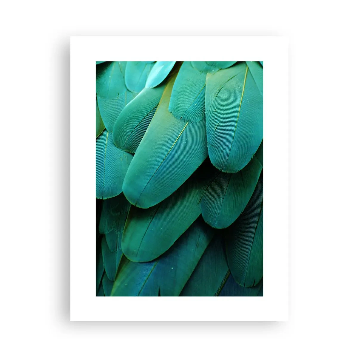 Plakat - Precyzja papuziej natury - 30x40 cm