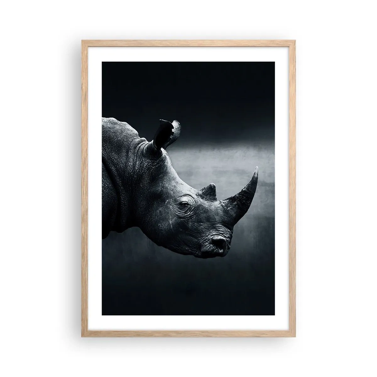 Plakat w ramie jasny dąb - Prawy profil - 50x70 cm