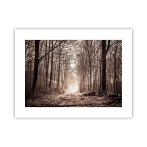 Plakat - Leśna katedra - 40x30 cm
