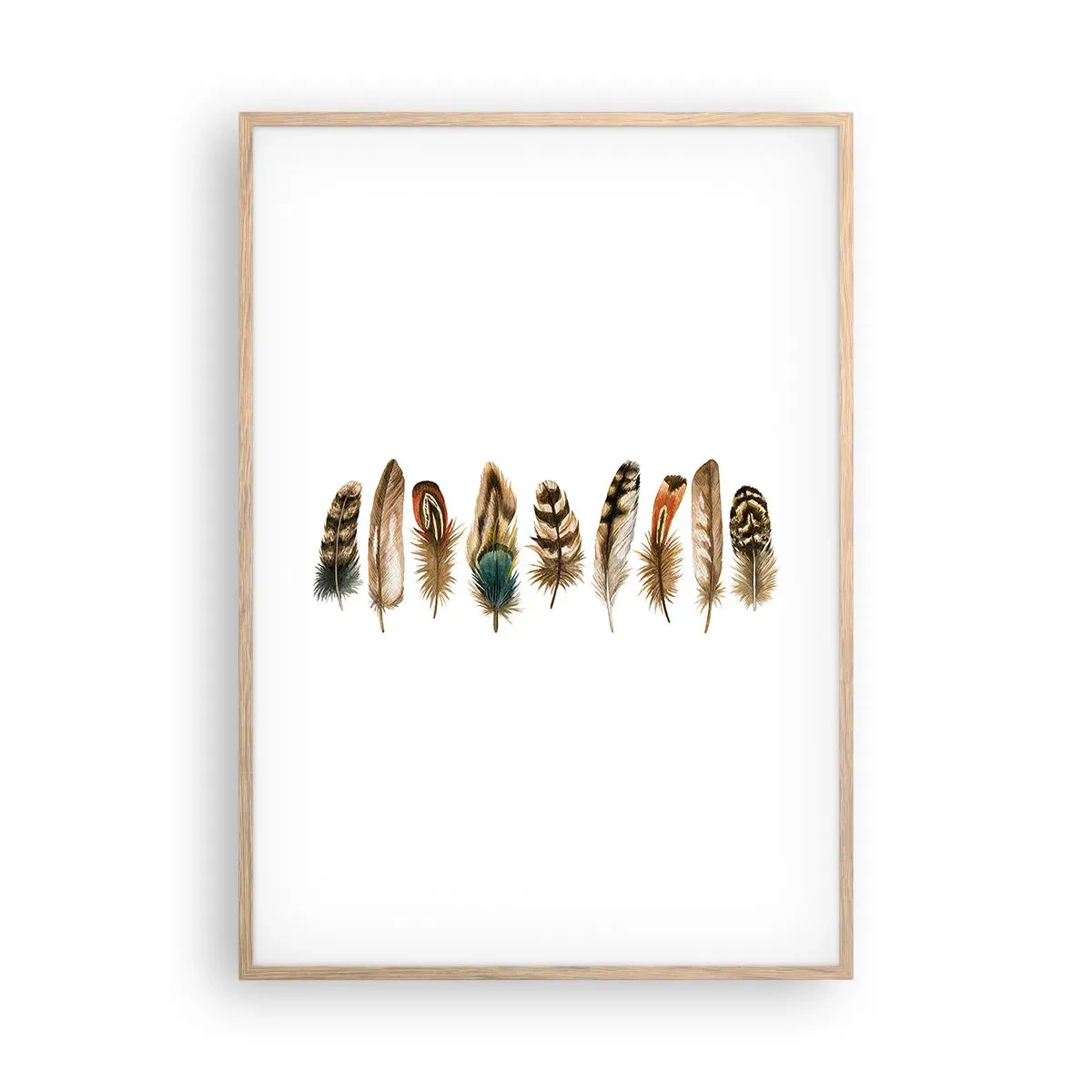 Plakat w ramie jasny dąb - Pierzasta wariacja - 70x100 cm