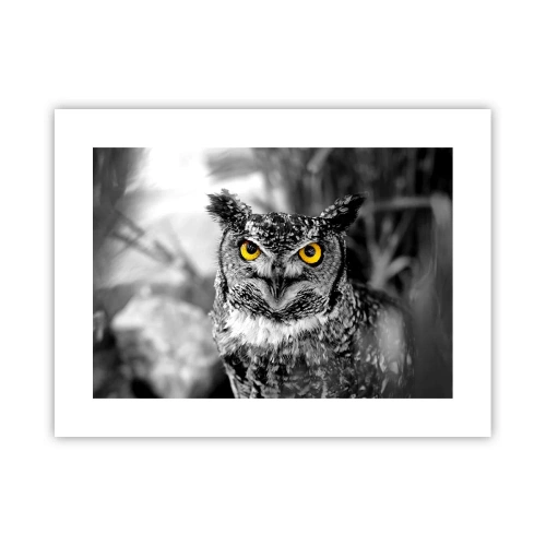 Plakat - Nic się nie ukryje - 40x30 cm