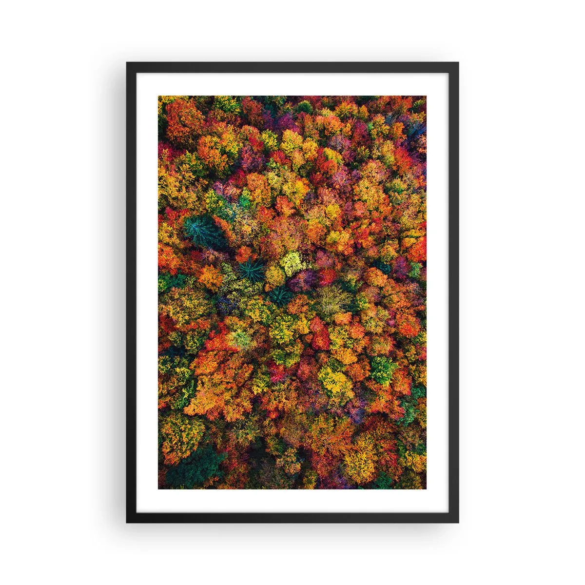 Plakat w czarnej ramie - Kolorowy las widziany z lotu ptaka w jesiennej palecie barw - 50x70cm - Bukiet jesiennych drzew - Nowoczesna dekoracja ścienna do salonu i sypialni ARTTOR