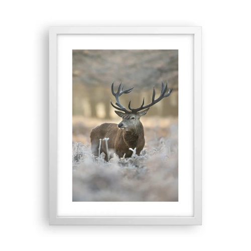 Plakat w białej ramie - Rześki poranek - 30x40 cm