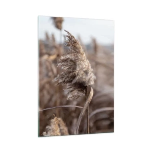 Obraz na szkle - Zbliżenie na suche trawy kołysane wiatrem - 50x70cm - Czas odlecieć z wiatrem - Nowoczesna dekoracja ścienna do salonu, kuchni i sypialni ARTTOR