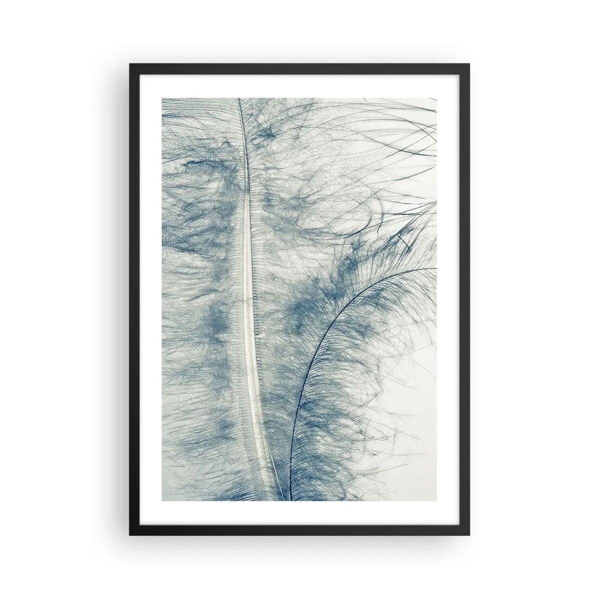 Plakat w czarnej ramie - Delikatne pióro w subtelnych odcieniach błękitu - 50x70cm - Szept natury - Nowoczesna dekoracja ścienna do salonu i sypialni ARTTOR