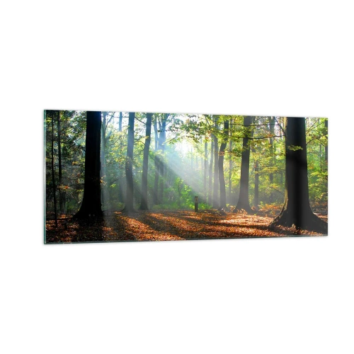 Obraz na szkle - Blaski i cienie - 100x40 cm