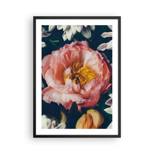 Plakat w czarnej ramie - Różowy kwiat z żółtym środkiem otoczony innymi kwiatami - 50x70cm - Z barokowym przepychem - Nowoczesna dekoracja ścienna do salonu i sypialni ARTTOR