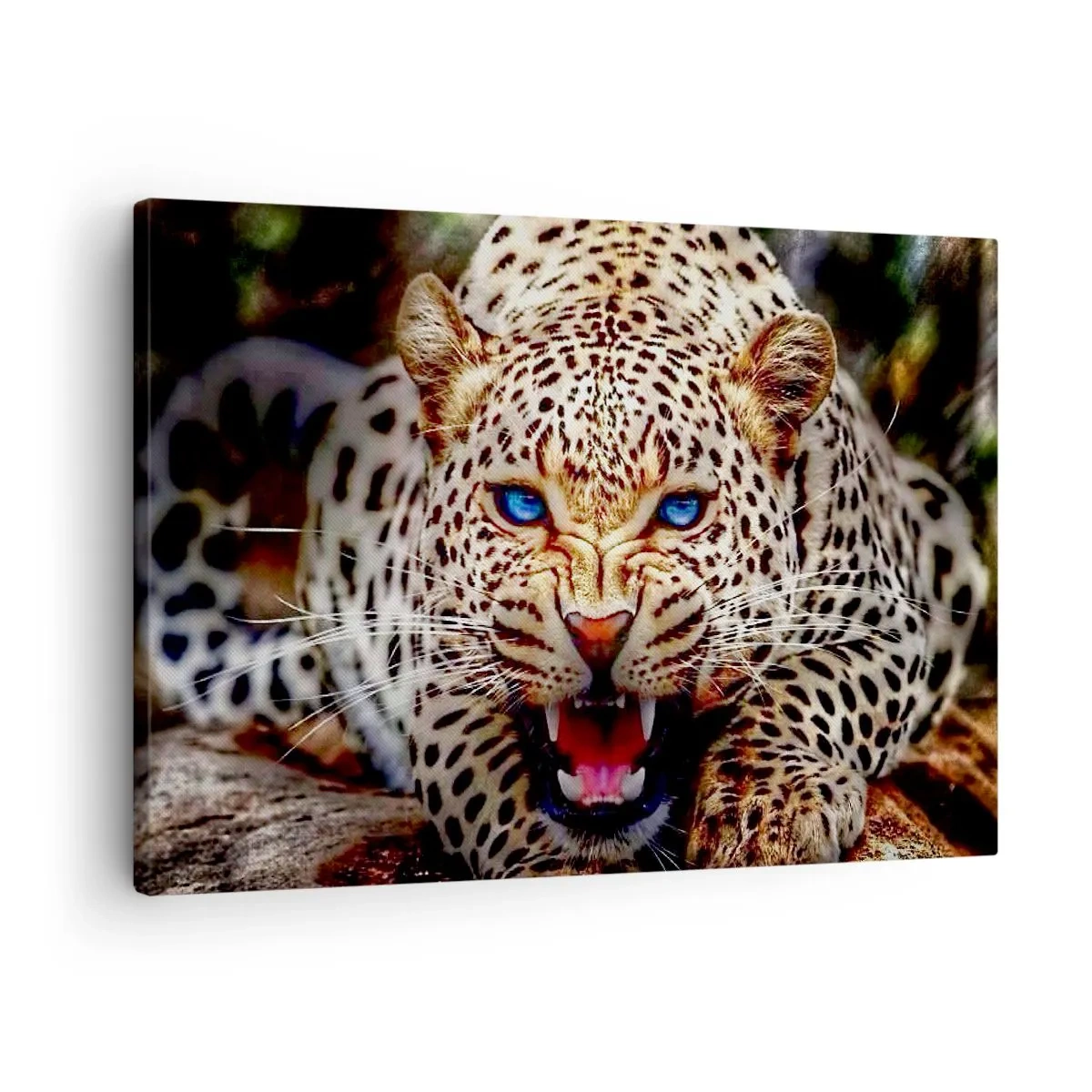 Obraz na płótnie - Groźny leopard z intensywnie błękitnymi oczami - 70x50cm - Złość piękności nie szkodzi - Nowoczesna dekoracja ścienna do salonu i sypialni ARTTOR