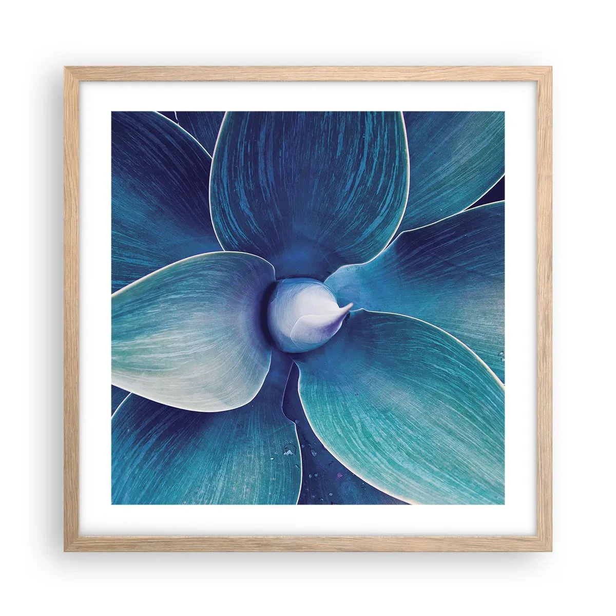 Plakat w ramie jasny dąb - Zbłękitniały od nieba - 50x50 cm