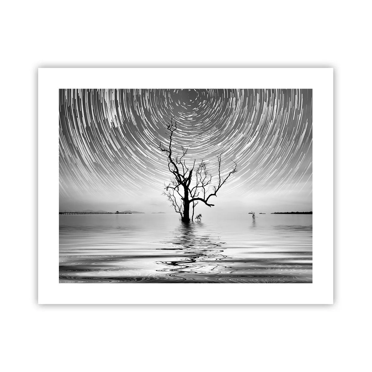 Plakat - Symfonia natury - 50x40 cm