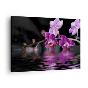 Obraz na płótnie - Fioletowe orchidee nad spokojną wodą na tle czarnym - 70x50cm - Liliowe odbicie piękna - Nowoczesna dekoracja ścienna do salonu i sypialni ARTTOR