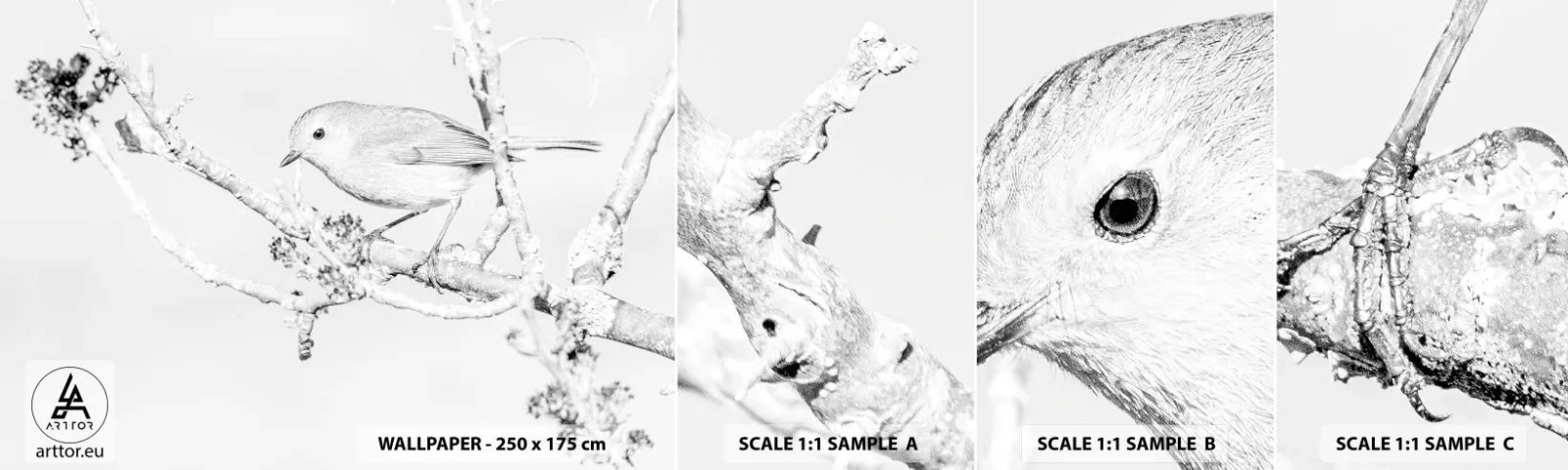 Fototapeta Próbka Samoprzylepna Deluxe Sticker - Zimowy poranek - Jasny, Ptak, Natura - 100x30 cm