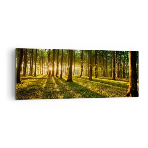 Obraz na płótnie - Zachodzące słońce w lesie liściastym - 140x50cm - Fotografia wszystkich wiosen - Nowoczesna dekoracja ścienna do salonu i sypialni ARTTOR