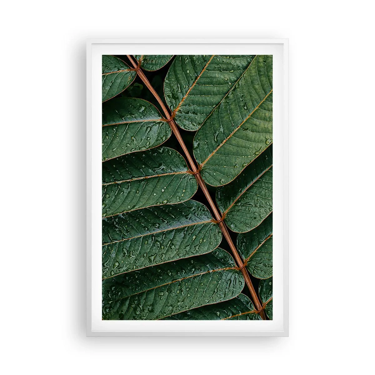 Plakat w białej ramie - W zielonym rytmie - 61x91 cm