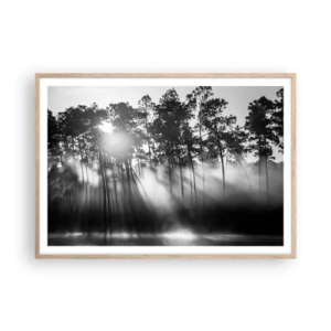 Plakat w ramie jasny dąb - Niepowstrzymane słońce - 100x70 cm