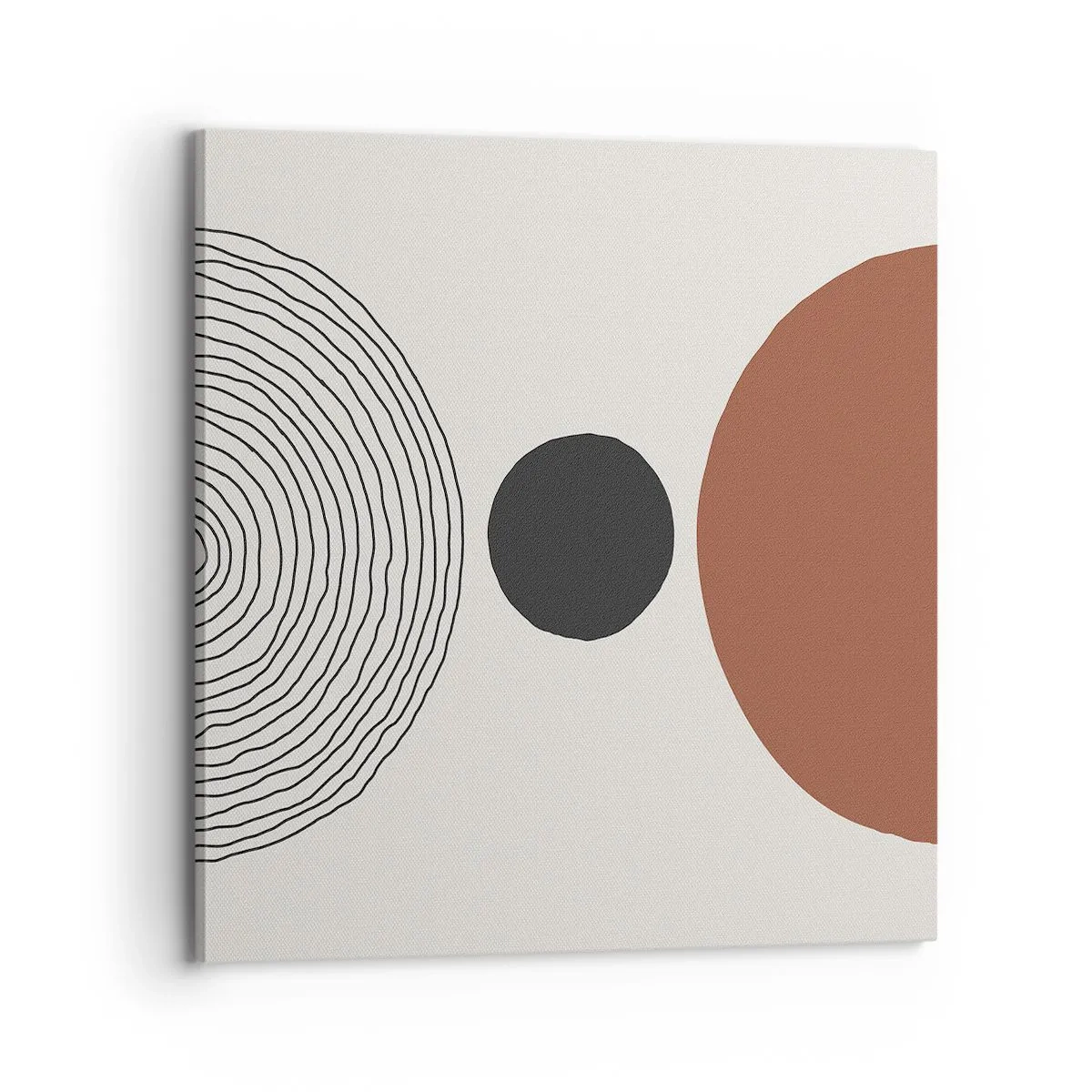 Obraz na płótnie - W centrum uwagi - 70x70 cm