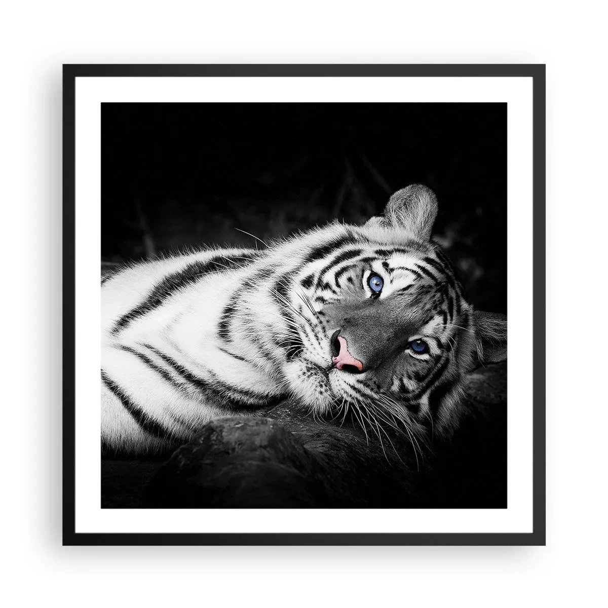 Plakat w czarnej ramie - Dzikość i spokój - 60x60 cm