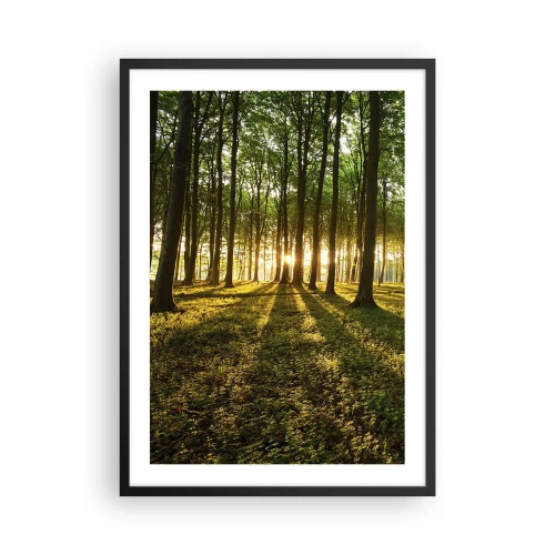 Plakat w czarnej ramie - Las oświetlony promieniami zachodzącego słońca - 50x70cm - Fotografia wszystkich wiosen - Nowoczesna dekoracja ścienna do salonu i sypialni ARTTOR