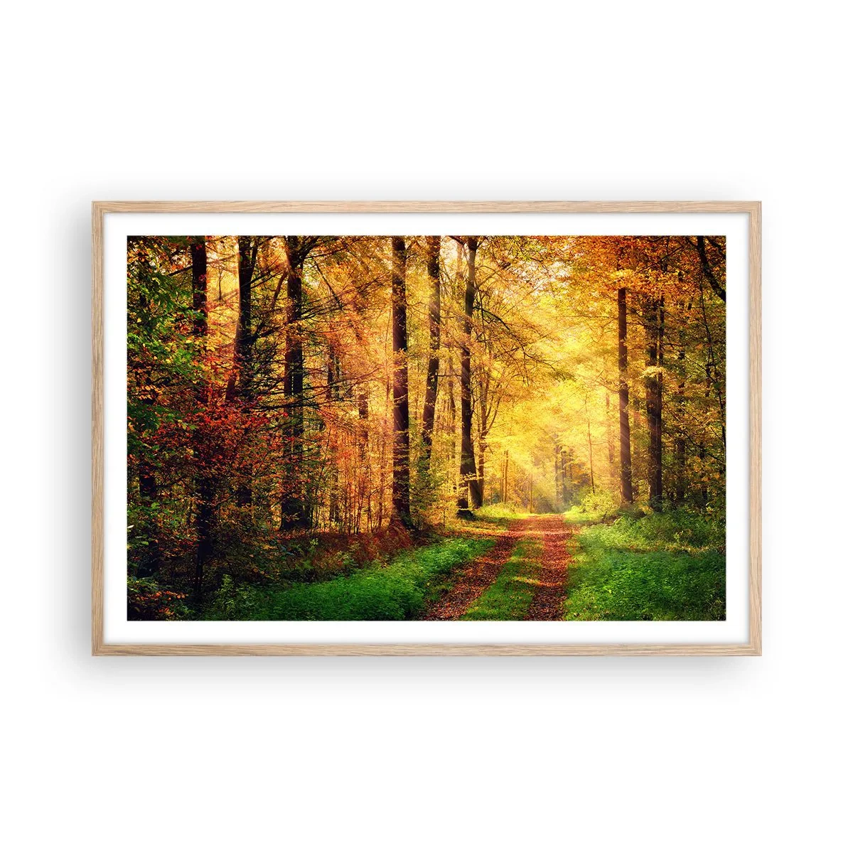Plakat w ramie jasny dąb - Leśno-złota cisza - 91x61 cm