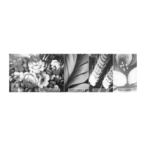 Fototapeta Próbka Standard Eco - Piękne nawet w szarości - Abstrakcja, Kwiaty, Sztuka - 100x30 cm