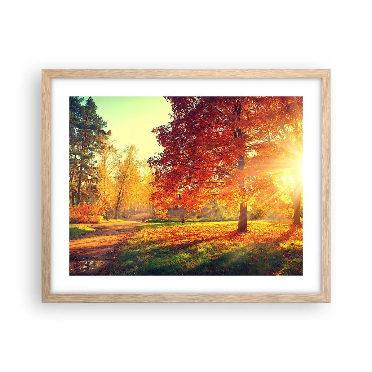 Plakat w ramie jasny dąb - Rude jest piękne - 50x40 cm