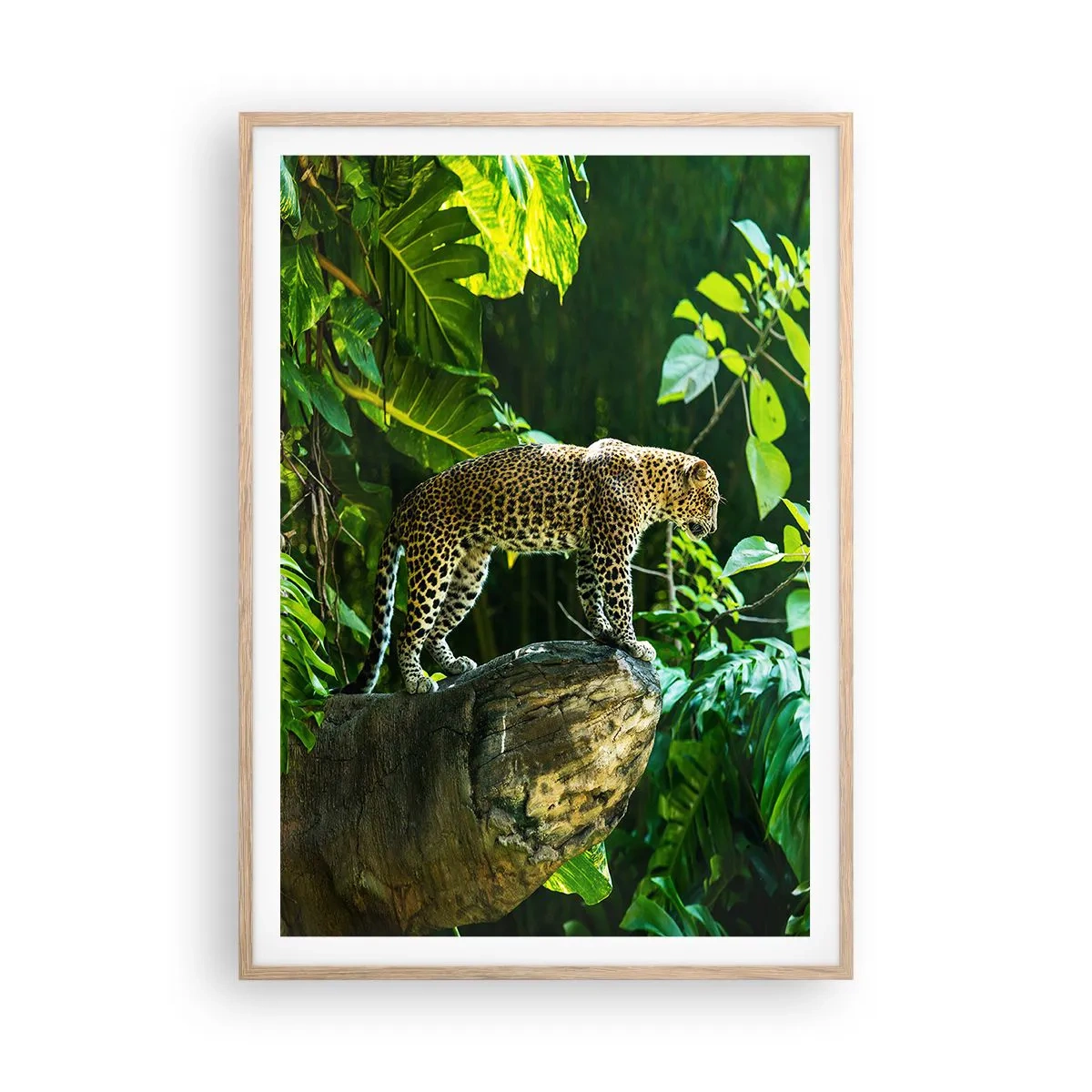 Plakat w ramie jasny dąb - Na łowy? - 70x100 cm