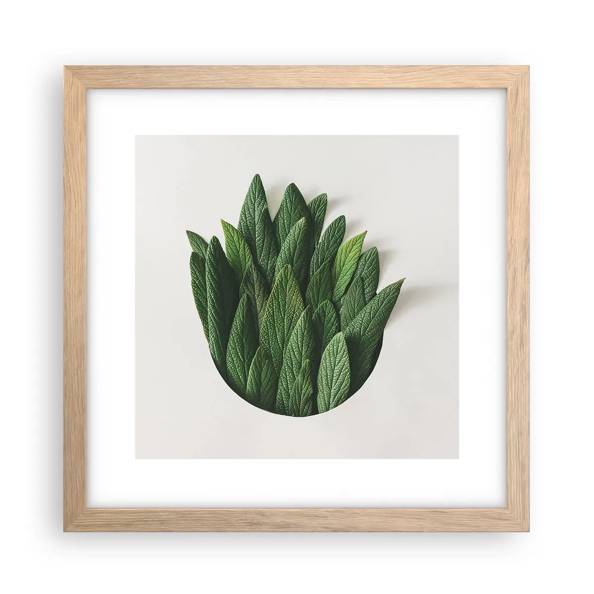 Plakat w ramie jasny dąb - Nieposkromiona ciekawość - 30x30 cm