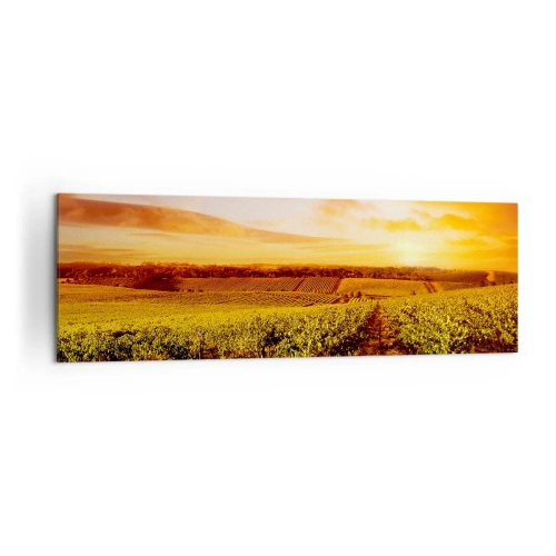 Obraz na płótnie - Winnica o zachodzie słońca z ciepłymi odcieniami nieba - 160x50cm - Delikatnie owocowe z nutą słońca - Nowoczesna dekoracja ścienna do salonu i sypialni ARTTOR