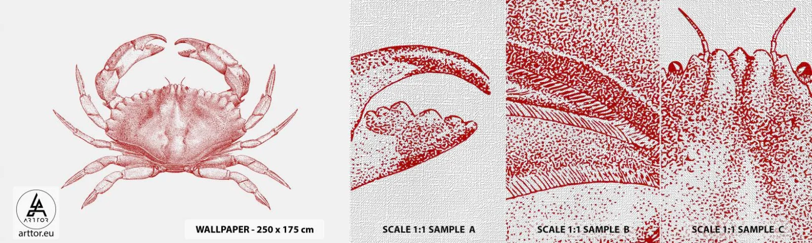 Fototapeta Próbka Premium Canvas - Krab nad kraby - Krab, Owoce Morza, Skorupiak - 100x30 cm