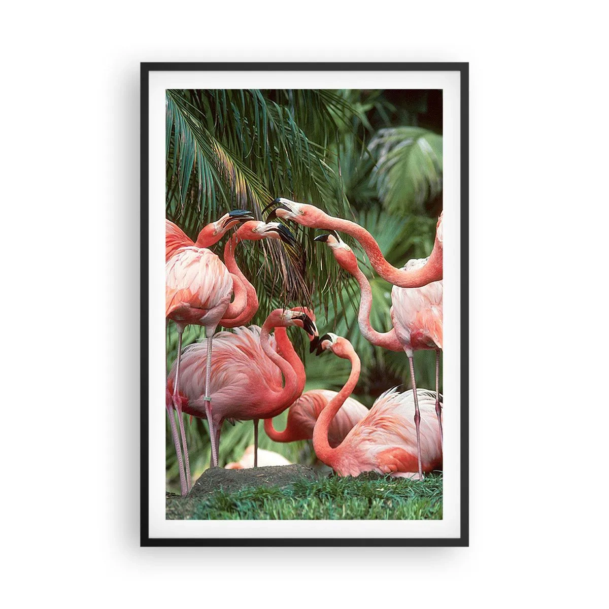 Plakat w czarnej ramie - Popołudniowe ploteczki - 61x91 cm