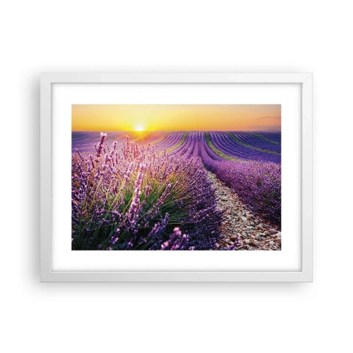 Plakat w białej ramie - Pachnący łan - 40x30 cm