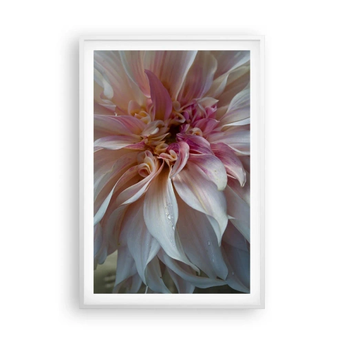 Plakat w białej ramie - Kwitnąca świeżość - 61x91 cm