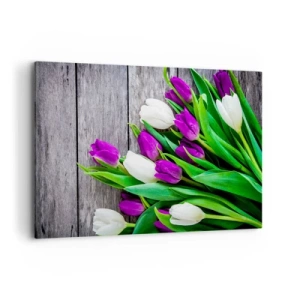 Obraz na płótnie - Bukiet fioletowych i białych tulipanów na drewnianym tle - 120x80cm - W dniu wiosennego święta - Nowoczesna dekoracja ścienna do salonu, kuchni i sypialni ARTTOR