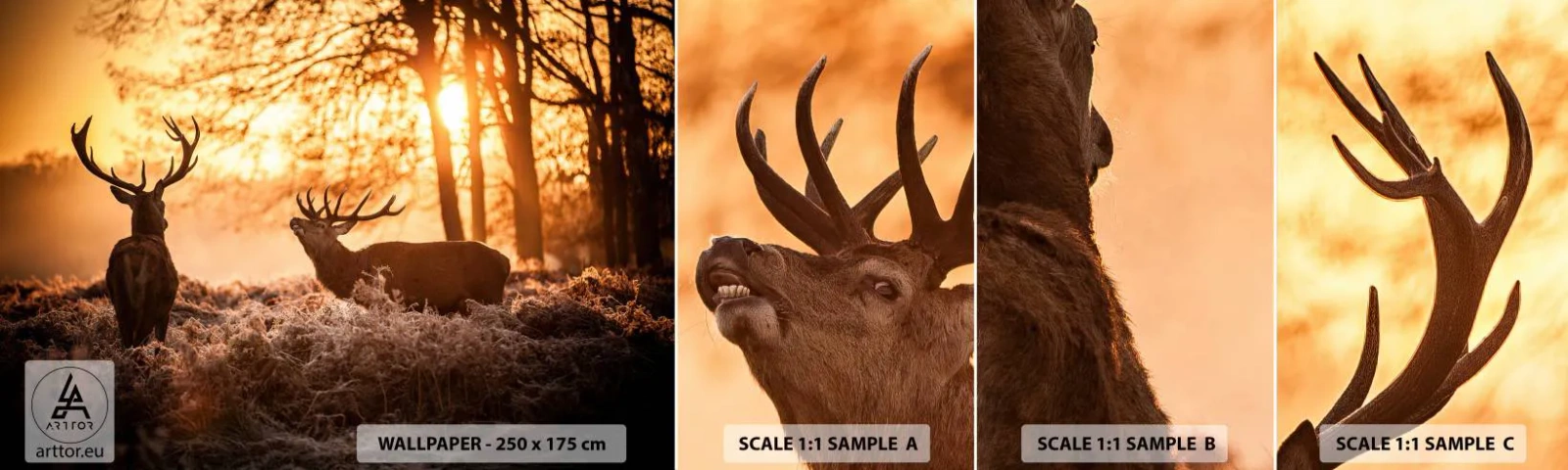 Fototapeta Próbka Samoprzylepna Deluxe Sticker - Marzenie myśliwego - Krajobraz, Jeleń, Polowanie - 100x30 cm