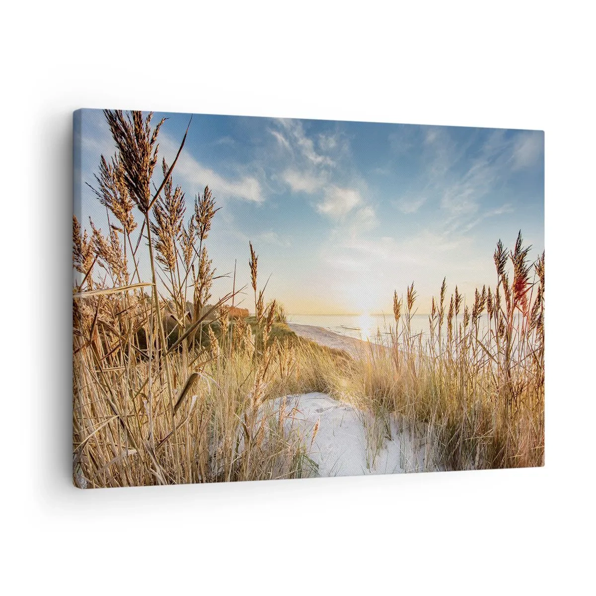 Obraz na płótnie - Malownicza plaża z trawami i zachodzącym słońcem - 70x50cm - Północna plaża - Nowoczesna dekoracja ścienna do salonu i sypialni ARTTOR