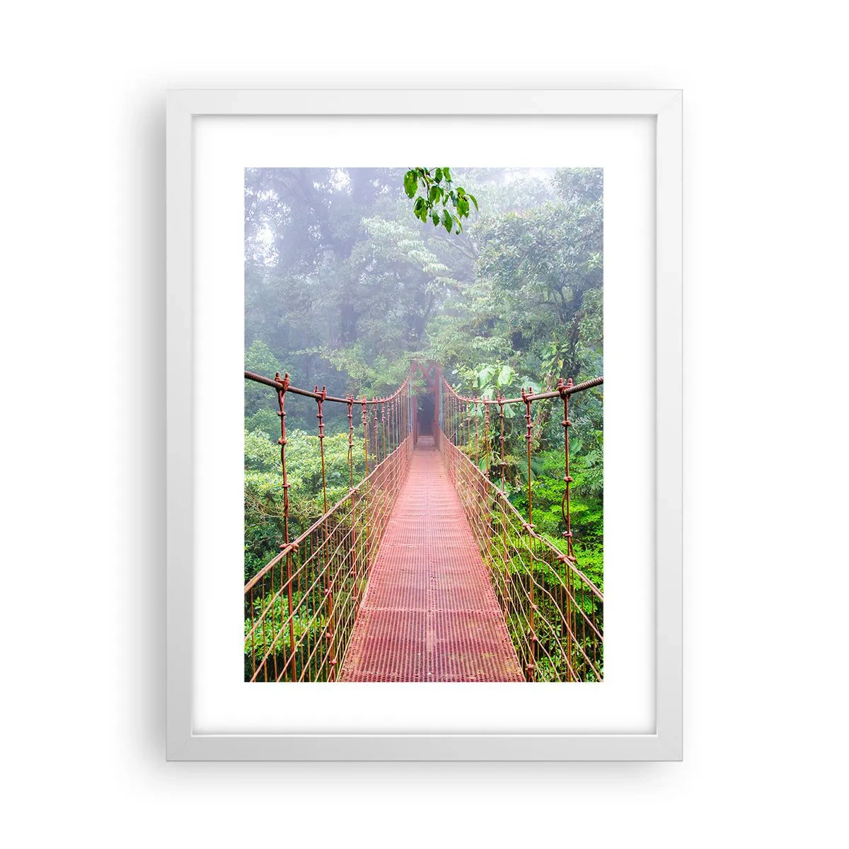 Plakat w białej ramie - Zawieszony nad koronami - 30x40 cm