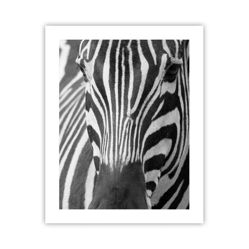 Plakat - Świat jest czarno-biały - 40x50 cm