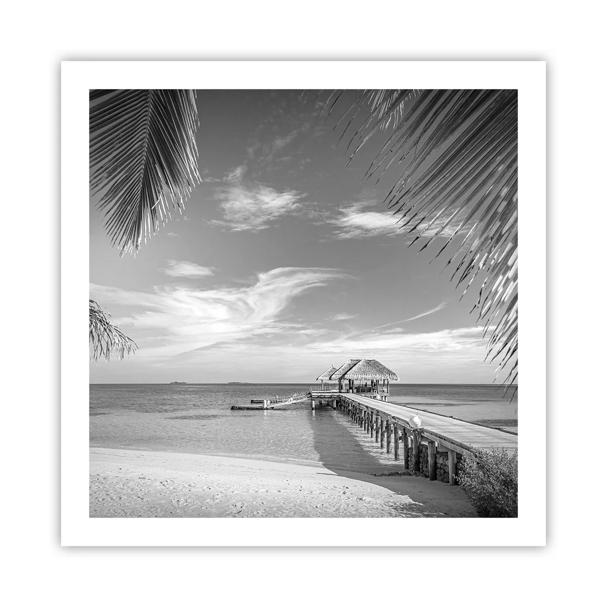 Plakat - Wspomnienie czy marzenie? - 60x60 cm