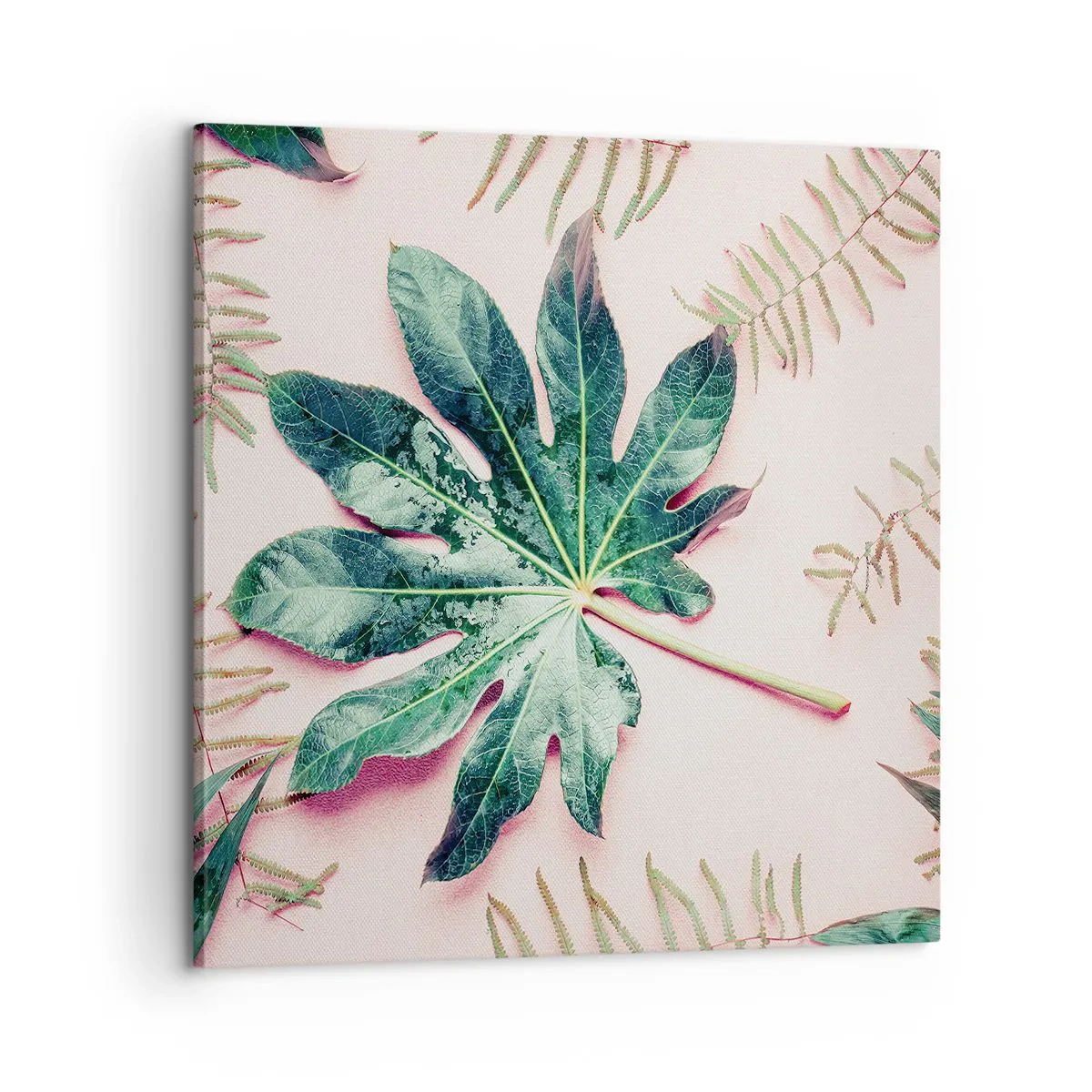 Obraz na płótnie - Studium zieleni na różowym tle - 60x60 cm