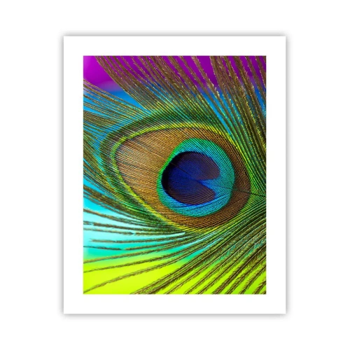 Plakat - Oko w oko - 40x50 cm
