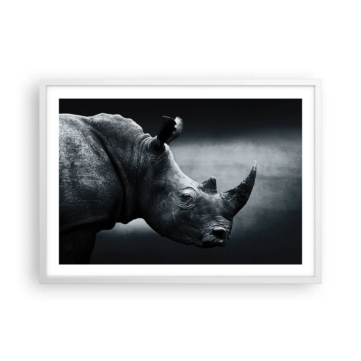 Plakat w białej ramie - Prawy profil - 70x50 cm