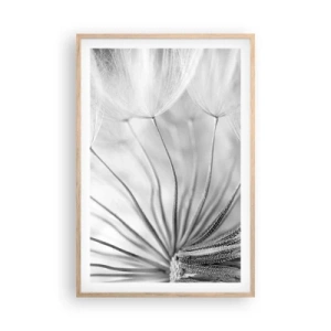 Plakat w ramie jasny dąb - Dmuchawce, latawce - 61x91 cm