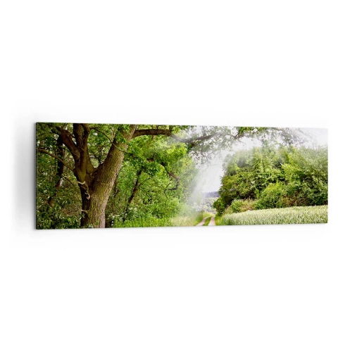 Obraz na płótnie - Polna droga wśród zielonych drzew i promieni słońca - 160x50cm - Et in Arcadia ego - Nowoczesna dekoracja ścienna do salonu i sypialni ARTTOR